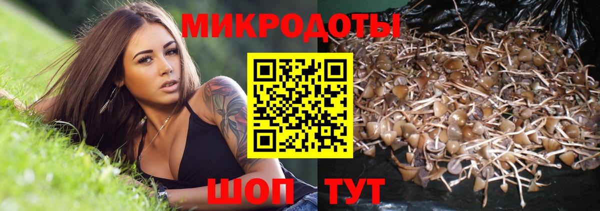 Нефтекумск  сколько стоит  Вход с VPN  Галлюциногенные грибы мухоморы 